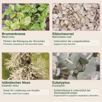 Vier Kräuterzutaten für Haustiere: Brunnenkresse, Eibischwurzel, isländisches Moos und Eukalyptus zur Unterstützung der Atemwege.