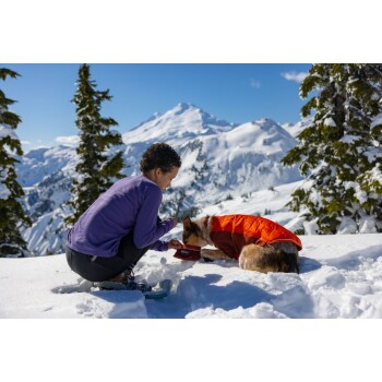 Eine Person in einem lila Langarmshirt kniet im Schnee und füttert einen Hund, der einen orangefarbenen Mantel trägt, vor der Kulisse schneebedeckter Berge.