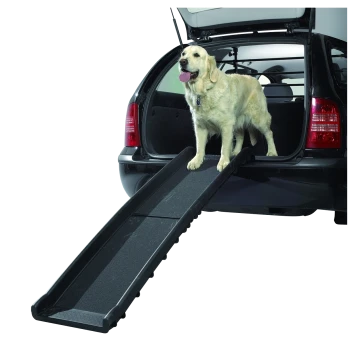 Een golden retriever staat op een zwarte huisdierhelling die zich uitstrekt vanaf de achterkant van een auto, met de achterklep van het voertuig open.