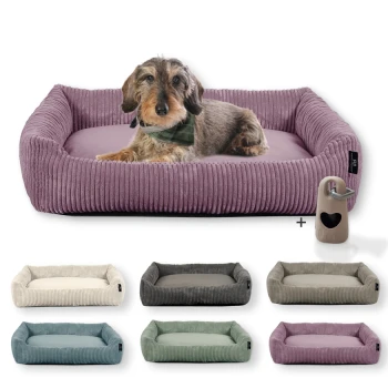 Hundebett waschbar, robuster Breit-Cordstoff mit Gratis-Beigabe Ein gemütliches lila Haustierbett mit einem kleinen Hund, der darauf ruht, umgeben von verschiedenen farbigen Betten in Beige, Grau, Türkis und Grün.
