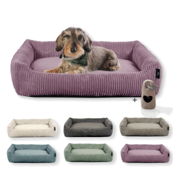 Ein gemütliches lila Haustierbett mit einem kleinen Hund, der darauf ruht, umgeben von verschiedenen farbigen Betten in Beige, Grau, Türkis und Grün.