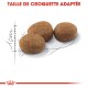 Trois morceaux de croquettes pour animaux sur un fond blanc, avec un croquis de taille et un texte rouge en gras "TAILLE DE CROQUETTE ADAPTÉE" au-dessus.