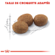 Trois morceaux de croquettes pour animaux sur un fond blanc, avec un croquis de taille et un texte rouge en gras "TAILLE DE CROQUETTE ADAPTÉE" au-dessus.