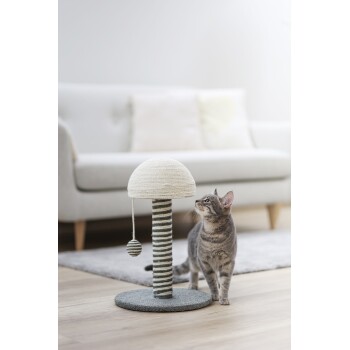 Een nieuwsgierige grijze tabby kat inspecteert een stijlvolle krabpaal met een paddenstoelvormige top en een hangende bal, geplaatst in een moderne woonkamer.