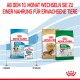 Bild von Royal Canin Welpen- und Erwachsenenfutter für Dachshunde und Mini-Hunde, mit deutschem Text über den Wechsel zu Erwachsenenfutter mit 10 Monaten.