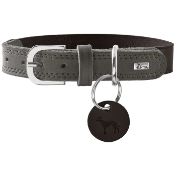Graues Lederhalsband mit silberner Schnalle, D-Ring, schwarzem rundem Anhänger mit Hundemotiv und Metallplakette mit der Aufschrift 'HUNTER'.