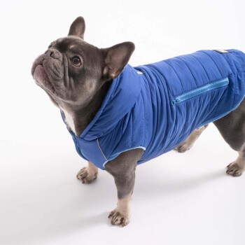 Hundejacke IMMI Blau S