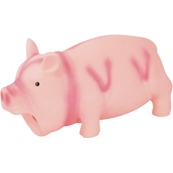 Pinkes Gummischwein-Spielzeug für Hunde mit offenem Maul, schwarzem Auge und dunkleren pinken Streifen.