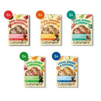 Fünf Nutriment schonend gedämpfte frische Hundefutterpakete mit verschiedenen Geschmacksrichtungen und Hundeabbildungen, jeweils mit „2x“ gekennzeichnet.