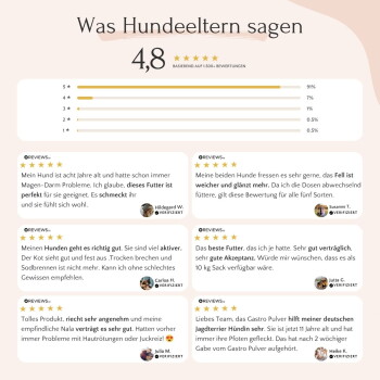 Anzeige für probiotisches Haustierergänzungsmittel mit einem Hund, das einfache Dosierung, Vorteile für die Darmgesundheit und Keimeliminierung zeigt.