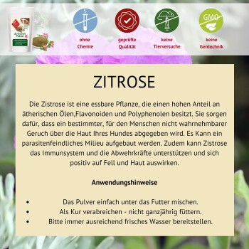 Zitrone Pulver Produktbild mit Text, der die Vorteile von Zistrose für Hunde beschreibt, einschließlich Unterstützung des Immunsystems und Hautgesundheit.