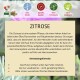 Zitrone Pulver Produktbild mit Text, der die Vorteile von Zistrose für Hunde beschreibt, einschließlich Unterstützung des Immunsystems und Hautgesundheit.