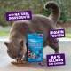 Gray cat eating treats next to blue Edgard Cooper ROLLS for hunting bag labels: NATURAL, HIGH PROTEIN, 86% SALMON & CHICKEN