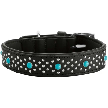 Stylisches schwarzes Lederhalsband für Hunde, verziert mit silbernen Nieten und türkisfarbenen Steinen, mit einer silbernen Schnalle.