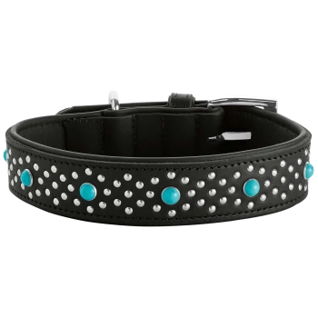 Stylisches schwarzes Lederhalsband für Hunde, verziert mit silbernen Nieten und türkisfarbenen Steinen, mit einer silbernen Schnalle.