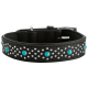 Stylisches schwarzes Lederhalsband für Hunde, verziert mit silbernen Nieten und türkisfarbenen Steinen, mit einer silbernen Schnalle.