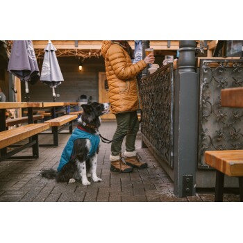 Eine Frau in einer braunen Daunenjacke steht an einer Bar mit einem Bier, während ein schwarz-weißer Hund in einem blauen Mantel neben ihr sitzt.