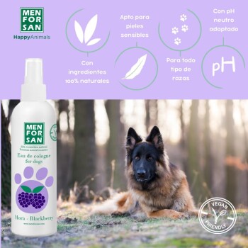 Eine Flasche MEN FOR SAN Eau de Cologne für Hunde, mit einem Brombeer-Design, neben einem flauschigen Hund in einer Waldumgebung.