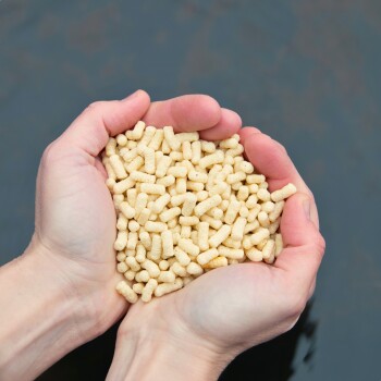 Die Hände einer Person, die einen Haufen kleiner, hellfarbener Haustierfutterpellets vor einem dunklen Hintergrund halten.