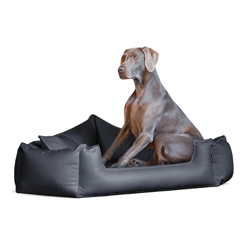 Tierlando SPENCER Eckiges Orthopädisches Hundebett schwarz/ graphit 1,25 m, 26 cm, 1,25 m