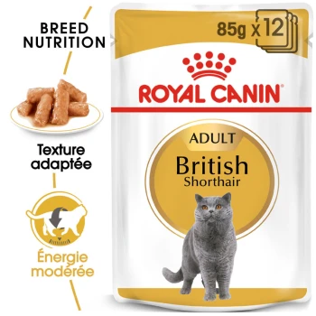 Emballage de nourriture pour chats Royal Canin Adult British Shorthair, mettant en avant un chat gris et soulignant la nutrition spécifique à la race et l'énergie.