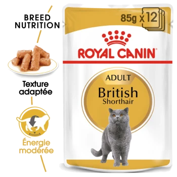 Emballage de nourriture pour chats Royal Canin Adult British Shorthair, mettant en avant un chat gris et soulignant la nutrition spécifique à la race et l'énergie.