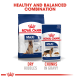 Royal Canin dog food packaging featuring a bag of dry kibbles and a pouch of chunks in gravy, labeled "Healthy and Balanced Combination."
