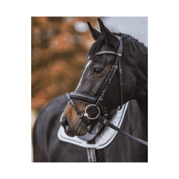 Eine Nahaufnahme eines schwarzen Pferdes, das ein Zaumzeug mit einem dekorativen Stirnriemen trägt, das seine starken Merkmale und sein glänzendes Fell zeigt.