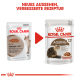 Bild von zwei Tüten Royal Canin Katzenfutter, gekennzeichnet mit 'AGEING +12' für Seniorenkatzen, das ein neues Design und eine verbesserte Rezeptur zeigt.