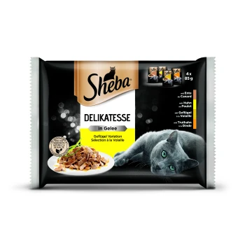 Delikatesse in Gelee Variation 4x85g Geflügel Sheba Delikatesse Katzenfutter in Gelee, mit einer grauen Katze und einem Teller Fleisch. Enthält Huhn, Ente und Truthahn-Optionen.