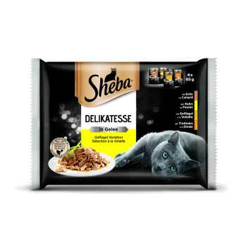 Sheba Delikatesse Katzenfutter in Gelee, mit einer grauen Katze und einem Teller Fleisch. Enthält Huhn, Ente und Truthahn-Optionen.