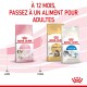 Kitten pour chaton Croquettes Chat 4 kg