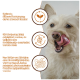 Ein glücklicher, hellfarbener Hund, der sich die Lippen leckt, begleitet von Text, der optimale Ernährung, Verdauungsunterstützung und reduzierte Allergierisiken hervorhebt.