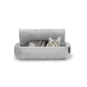 Eine graue Katze mit auffälligen grünen Augen liegt bequem in einem plüschigen grauen Haustierbett mit erhöhten Seiten, vor einem weißen Hintergrund.