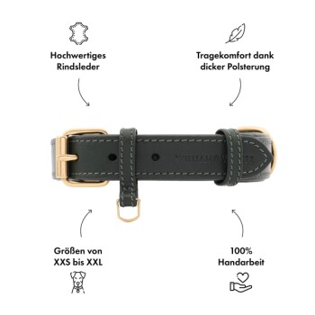 Grüner Lederhalsband für Hunde mit goldener Schnalle, mit dem Text: "WILLIAMS & WERNER," und Symbolen, die Qualität, Komfort, Größen und Handwerkskunst hervorheben.