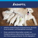 Golden-Retriever-Hündin säugt mehrere Welpen auf Holzboden; ADAPTIL-Logo und deutscher Text zu beruhigenden Pheromonen.