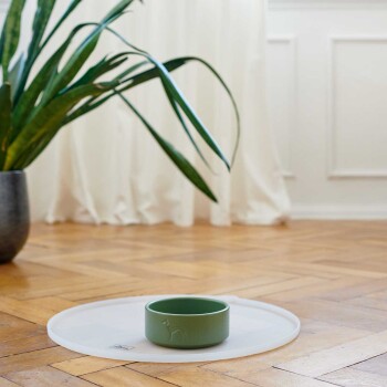 Eine grüne Haustierfutterschüssel steht auf einer weißen Matte auf einem Holzboden, mit einer Topfpflanze im Hintergrund und durchsichtigen Vorhängen.