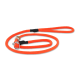 Hellorange geflochtene Hundeleine mit Metallring und Korkdetail, Schlaufenhandgriff, auf schwarzem Hintergrund.