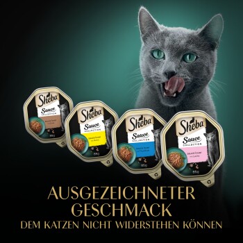 Vier Sheba Sauce Collection Katzenfutterpackungen in verschiedenen Geschmacksrichtungen, mit dem Text "AUSGEZEICHNETER GESCHMACK DEM KATZEN NICHT WIDERSTEHEN KÖNNEN."