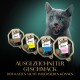 Vier Sheba Sauce Collection Katzenfutterpackungen in verschiedenen Geschmacksrichtungen, mit dem Text "AUSGEZEICHNETER GESCHMACK DEM KATZEN NICHT WIDERSTEHEN KÖNNEN."