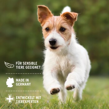Ein kleiner Hund, der auf Gras läuft, mit einem Text, der anzeigt, dass es für empfindliche Tiere geeignet ist, in Deutschland hergestellt und mit Tierexperten entwickelt.