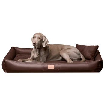 CLIFFORD SOFT orthopädisches Hundebett braun 85 cm, 16 cm, 60 cm Ein großer grauer Hund, der auf einem plüschigen braunen Hundebett mit einem weichen Kissen ruht, mit einem lederähnlichen Äußeren und einem kleinen Etikett.