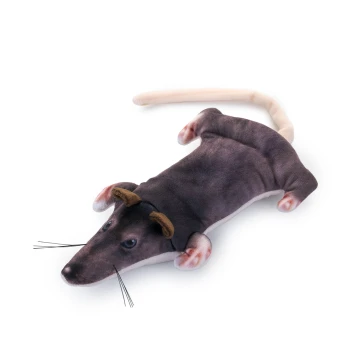 Ein Plüschspielzeug in Form einer cartoonhaften Ratte, mit einem grauen Körper, rosa Ohren und einem langen Schwanz, auf einem weißen Hintergrund liegend.