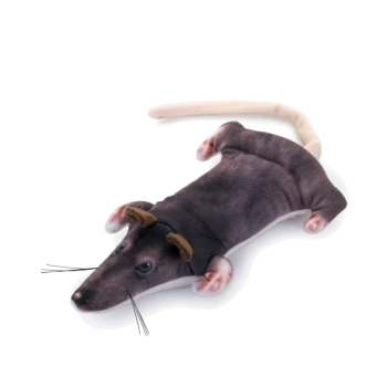 Ein Plüschspielzeug in Form einer cartoonhaften Ratte, mit einem grauen Körper, rosa Ohren und einem langen Schwanz, auf einem weißen Hintergrund liegend.