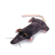 Ein Plüschspielzeug in Form einer cartoonhaften Ratte, mit einem grauen Körper, rosa Ohren und einem langen Schwanz, auf einem weißen Hintergrund liegend.