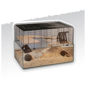 Un habitat pour animaux de compagnie à deux niveaux avec un dessus en treillis métallique, un fond en verre, des plateformes en bois, une literie naturelle, un pont et des jouets à mâcher.