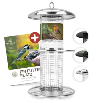 Vogelfutterspender mit einem Metalldesign, mit einem Etikett, das "Futterspender für Erdnüsse" liest, und einem Bild eines Rotkehlchens.