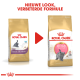 Afbeelding die twee zakken Royal Canin kittenvoer voor Britse Korthaar katten vergelijkt, met een nieuwe uitstraling en verbeterde formule.