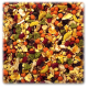 Colorful mix of pet food featuring various shapes and sizes, including flakes, pellets, and dried fruits in shades of green, orange, red, and yellow.