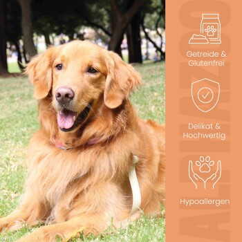 Infografik, die die täglichen Fütterungsmengen für Hunde basierend auf Gewicht und Alter detailliert, mit dem Titel "MICH KANNST DU EINFACH VERFÜTTERN."